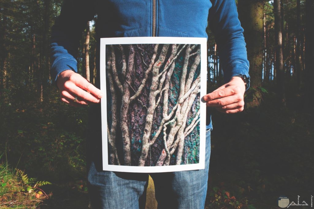 صورة غريبة لشاب يحمل لوحة بها جزوع فقط للشجر