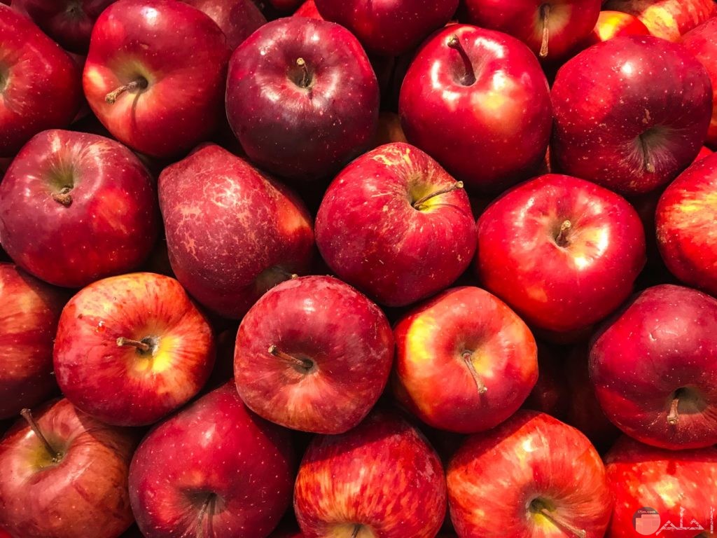 مجموعة من التفاح الأحمر شديد الجمال