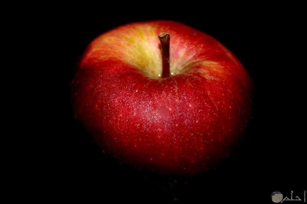 جمال لون التفاح الأحمر مع الخلفية السوداء