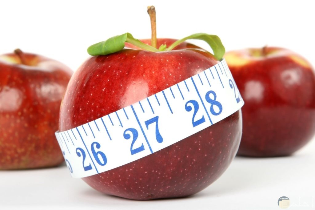 صورة تدل على أن التفاح يساعد على خسارة الوزن