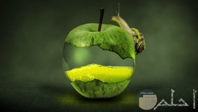 صورة فوتوشوب لتفاحة