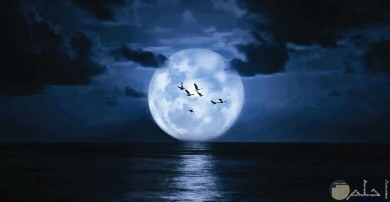 القمر بدراً فى السماء.